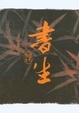 Cover of 書生