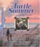 Cover of "Turtle Summer"