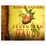 Cover of "Seventeen Ways to Eat a Mango"