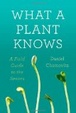 Cover of What a Plant Knows