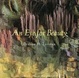 Cover of An Eye for Beauty