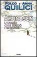 Cover of Amundsen