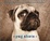 Cover of Pug Shots Deluxe Notecards