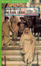 Cover of Guárdate de los Idus