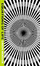 Cover of Equations of Life