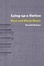 Cover of "Lying up a Nation"