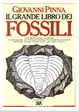 Cover of Il grande libro dei fossili