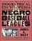 Cover of "The Biographical Encyclopedia of the Negro Baseball Leagues"