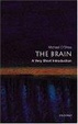 Cover of The Brain