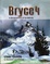 Cover of Bryce 4