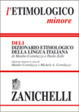 Cover of L'etimologico minore