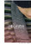 Cover of "半顆心的恩典"