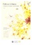 Cover of "Políticas Urbanas"