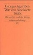 Cover of Was von Auschwitz bleibt