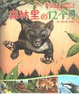 森林里的12個月