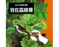 我在森林裏