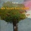 Cover of Non tagliate quell'albero