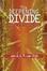 Cover of "The Deepening Divide"