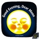 Cover of Good Evening, Dear Moon