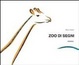Cover of Zoo di segni