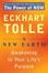 Cover of "A New Earth"