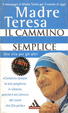 Cover of Il cammino semplice