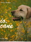 Cover of io, cane