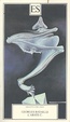 Cover of L'abate C.