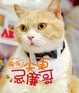 Cover of 我係尖東忌廉哥