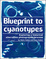 Cover of Blueprint to cyanotypes