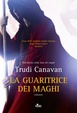Cover of La guaritrice dei maghi