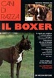 Cover of Il boxer