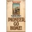 Cover of 'Pioneer, Go Home!'