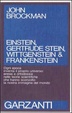 Cover of Einstein, Gertrude Stein, Wittgenstein & Frankestein