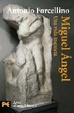 Cover of Miguel Angel