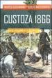 Cover of Custoza 1866