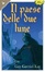 Cover of Il paese delle due lune