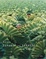Cover of "Beat Takeshi Vs. Takeshi Kitano"