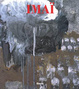 Cover of Imai Toshimitsu