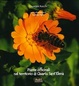 Cover of Piante officinali della Sardegna nel territorio di Quartu sant'Elena