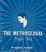 Cover of 'The Metrosexual Style Kit'