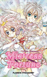 Cover of Mistress Fortune