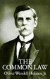 Cover of The Common Law