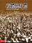 Cover of 政體與身體