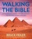 Cover of "Walking the Bible (children's edition)"