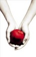 Cover of Twilight