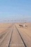 Cover of Far in the Waste Sudan