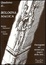 Cover of Quaderno di Bologna magica