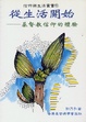 Cover of 從生活開始