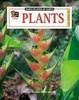 Cover of Plants
